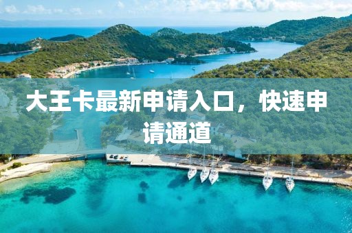 大王卡最新申请入口，快速申请通道