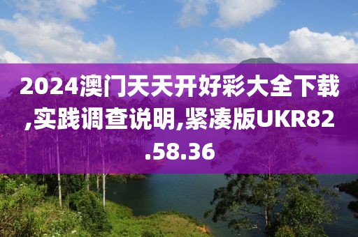 2024澳门天天开好彩大全下载,实践调查说明,紧凑版UKR82.58.36