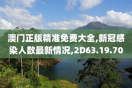 澳门正版精准免费大全,新冠感染人数最新情况,2D63.19.70