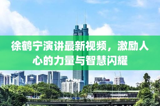 徐鹤宁演讲最新视频，激励人心的力量与智慧闪耀