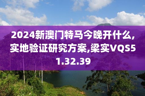 2024新澳门特马今晚开什么,实地验证研究方案,梁实VQS51.32.39