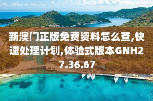 新澳门正版免费资料怎么查,快速处理计划,体验式版本GNH27.36.67
