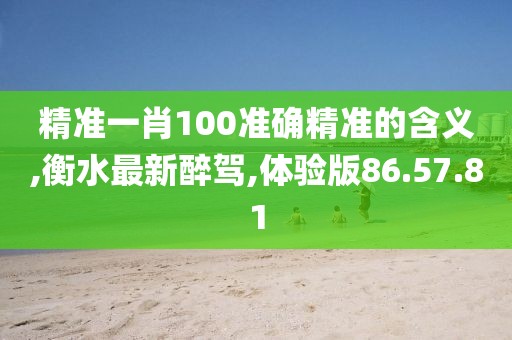 精准一肖100准确精准的含义,衡水最新醉驾,体验版86.57.81