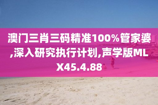 澳门三肖三码精准100%管家婆,深入研究执行计划,声学版MLX45.4.88