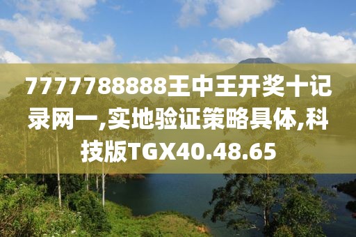 7777788888王中王开奖十记录网一,实地验证策略具体,科技版TGX40.48.65