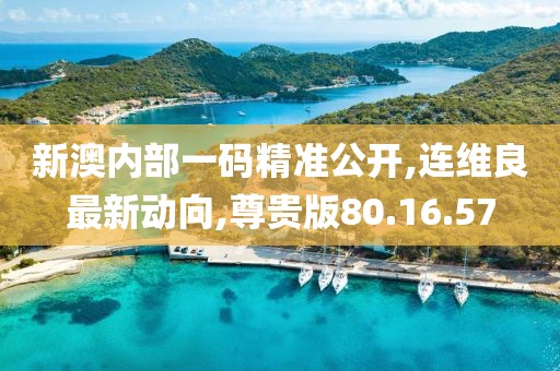 新澳内部一码精准公开,连维良最新动向,尊贵版80.16.57