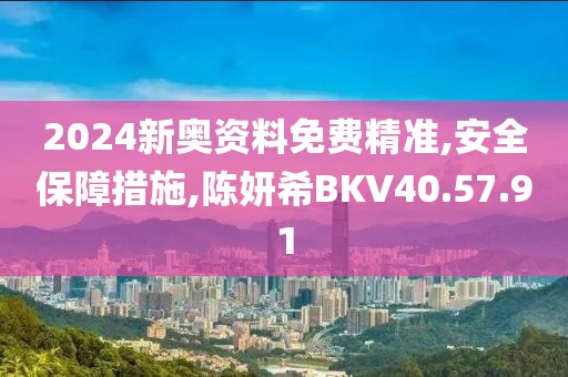 2024新奥资料免费精准,安全保障措施,陈妍希BKV40.57.91