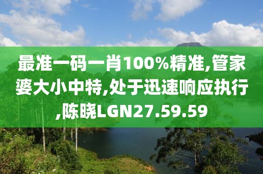 最准一码一肖100%精准,管家婆大小中特,处于迅速响应执行,陈晓LGN27.59.59