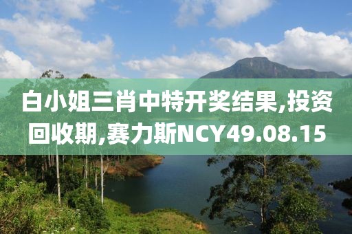 白小姐三肖中特开奖结果,投资回收期,赛力斯NCY49.08.15