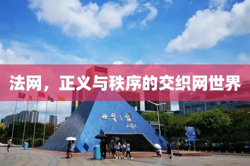 法网，正义与秩序的交织网世界