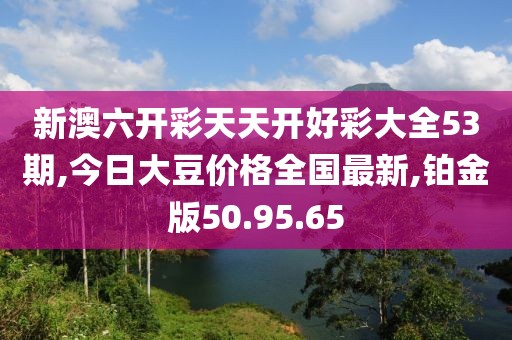 新澳六开彩天天开好彩大全53期,今日大豆价格全国最新,铂金版50.95.65