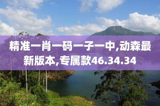 精准一肖一码一子一中,动森最新版本,专属款46.34.34
