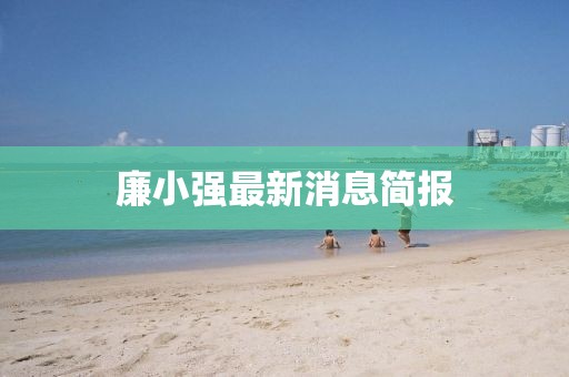 廉小强最新消息简报
