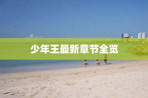 少年王最新章节全览
