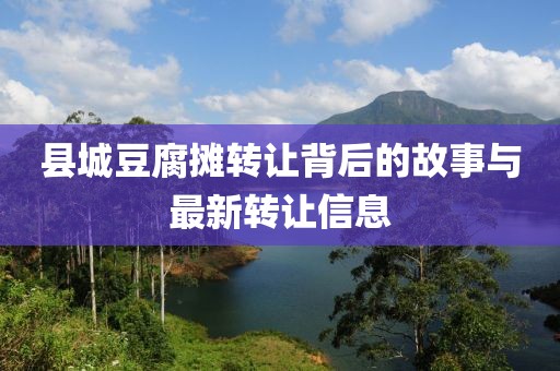 县城豆腐摊转让背后的故事与最新转让信息