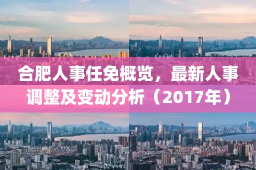 合肥人事任免概览，最新人事调整及变动分析（2017年）