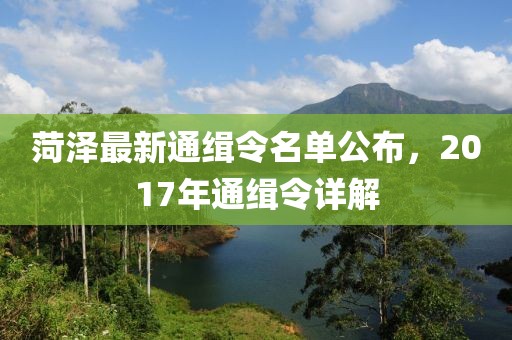 菏泽最新通缉令名单公布，2017年通缉令详解