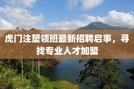 虎门注塑领班最新招聘启事，寻找专业人才加盟
