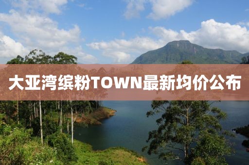 大亚湾缤粉TOWN最新均价公布