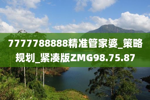 7777788888精准管家婆_策略规划_紧凑版ZMG98.75.87