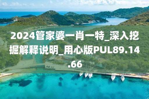 2024管家婆一肖一特_深入挖掘解释说明_用心版PUL89.14.66