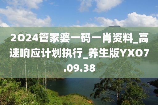 2O24管家婆一码一肖资料_高速响应计划执行_养生版YXO7.09.38