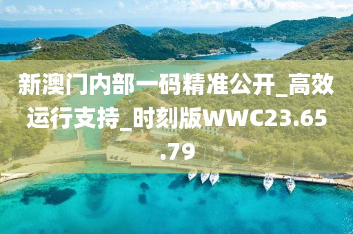 新澳门内部一码精准公开_高效运行支持_时刻版WWC23.65.79