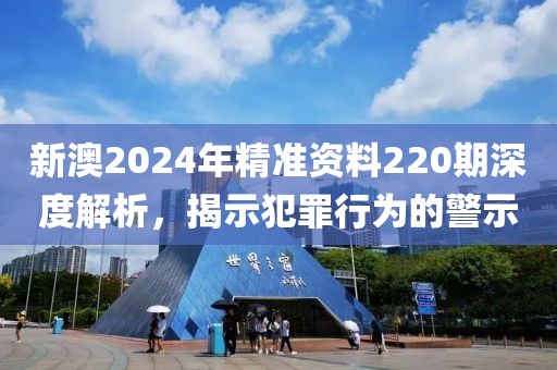 新澳2024年精准资料220期深度解析，揭示犯罪行为的警示