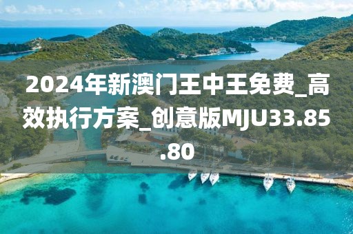 2024年新澳门王中王免费_高效执行方案_创意版MJU33.85.80