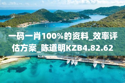 一码一肖100%的资料_效率评估方案_陈道明KZB4.82.62