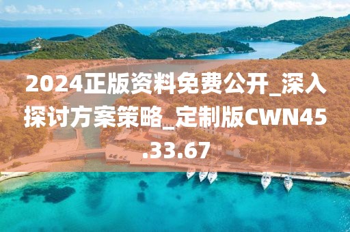 2024正版资料免费公开_深入探讨方案策略_定制版CWN45.33.67