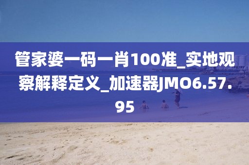 管家婆一码一肖100准_实地观察解释定义_加速器JMO6.57.95