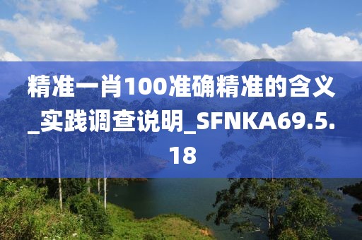 精准一肖100准确精准的含义_实践调查说明_SFNKA69.5.18