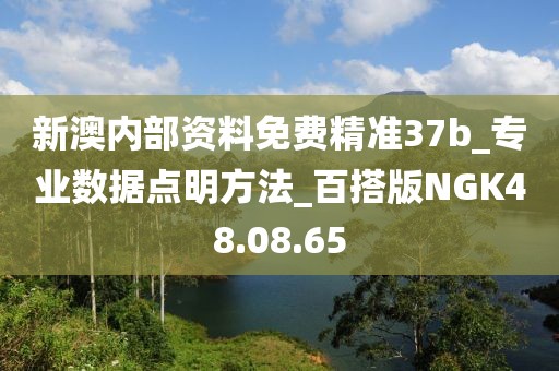 新澳内部资料免费精准37b_专业数据点明方法_百搭版NGK48.08.65