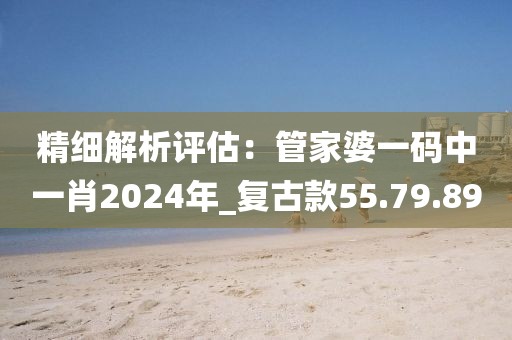 精细解析评估：管家婆一码中一肖2024年_复古款55.79.89