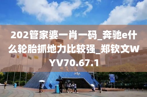 202管家婆一肖一码_奔驰e什么轮胎抓地力比较强_郑钦文WYV70.67.1