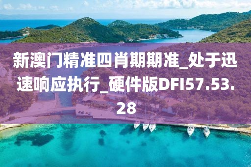 新澳门精准四肖期期准_处于迅速响应执行_硬件版DFI57.53.28
