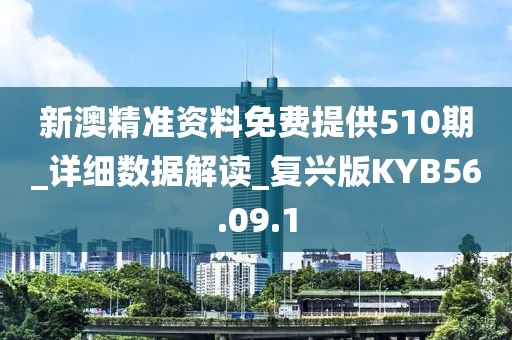 新澳精准资料免费提供510期_详细数据解读_复兴版KYB56.09.1