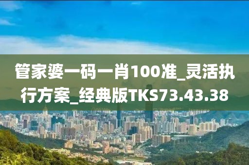 管家婆一码一肖100准_灵活执行方案_经典版TKS73.43.38