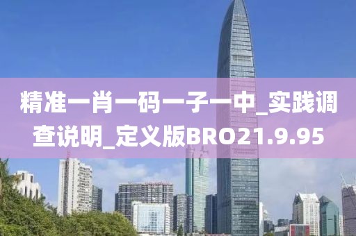 精准一肖一码一子一中_实践调查说明_定义版BRO21.9.95