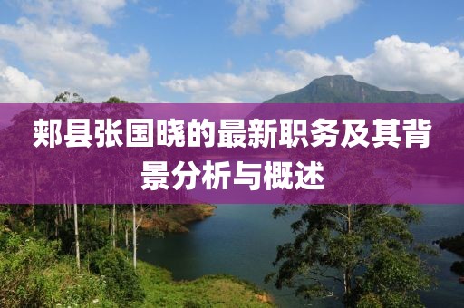 郏县张国晓的最新职务及其背景分析与概述