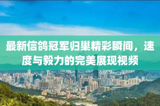 最新信鸽冠军归巢精彩瞬间，速度与毅力的完美展现视频