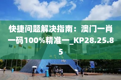 快捷问题解决指南：澳门一肖一码100%精准一_KP28.25.85