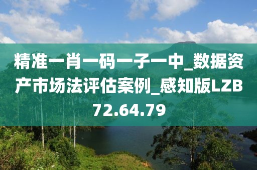 精准一肖一码一子一中_数据资产市场法评估案例_感知版LZB72.64.79