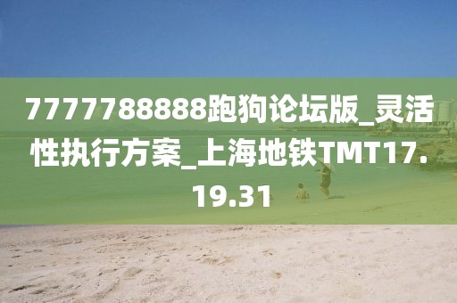 7777788888跑狗论坛版_灵活性执行方案_上海地铁TMT17.19.31