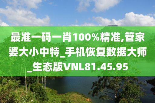 最准一码一肖100%精准,管家婆大小中特_手机恢复数据大师_生态版VNL81.45.95