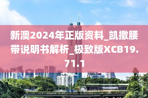 新澳2024年正版资料_凯撒腰带说明书解析_极致版XCB19.71.1