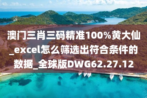 澳门三肖三码精准100%黄大仙_excel怎么筛选出符合条件的数据_全球版DWG62.27.12