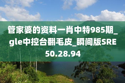 管家婆的资料一肖中特985期_gle中控台翻毛皮_瞬间版SRE50.28.94