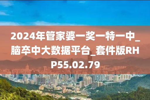 2024年管家婆一奖一特一中_脑卒中大数据平台_套件版RHP55.02.79